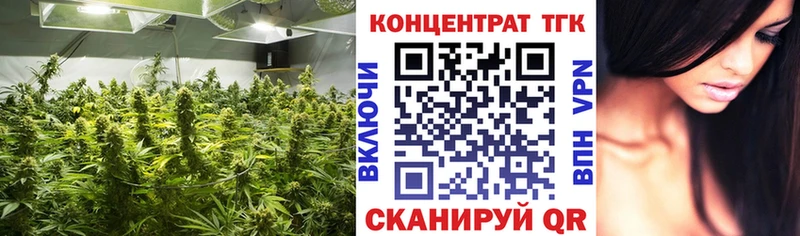 Купить закладки  Ковылкино  ТГК гашишное масло 