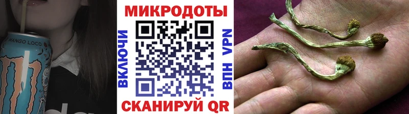 Галлюциногенные грибы мицелий  Купить где  Ковылкино 